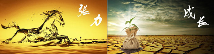 企（qǐ）業發展要學會取他人之長、補自（zì）己（jǐ）之短